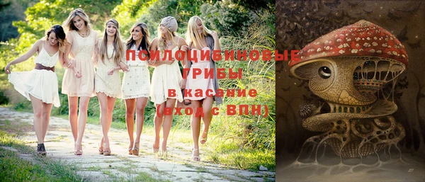 дурь Елизово