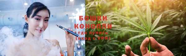 дурь Елизово