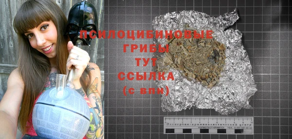 марки nbome Ельня