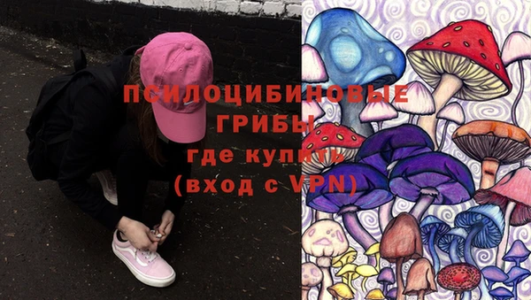 дурь Елизово