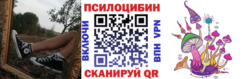 Купить Петровск Галлюциногенные грибы Magic Shrooms